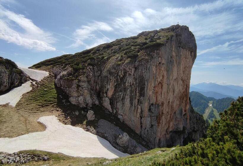 住宿加早餐  Landhaus Seebacher