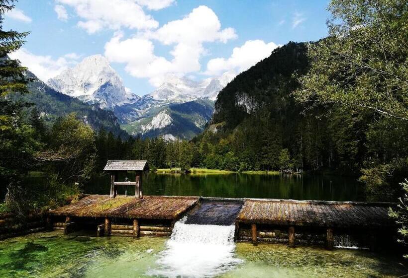 مبيت وإفطار Landhaus Seebacher