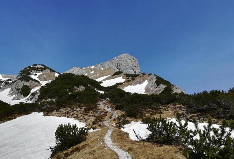 住宿加早餐  Landhaus Seebacher