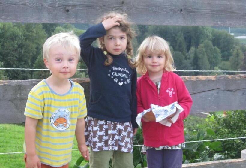 住宿加早餐  Landhaus Seebacher