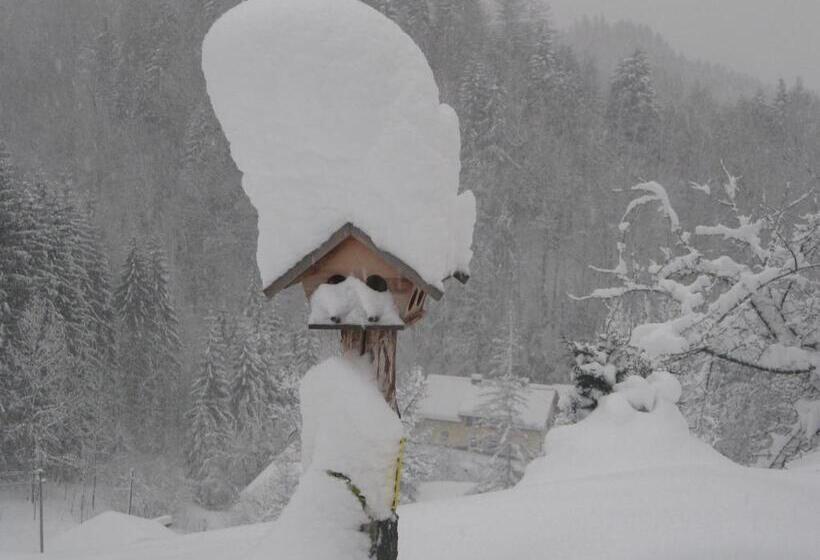 住宿加早餐  Landhaus Seebacher