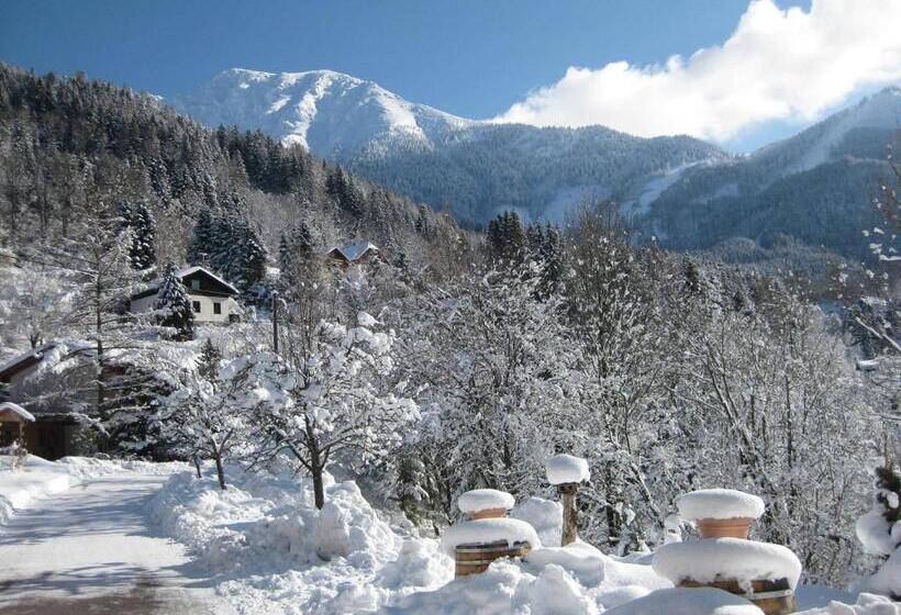 住宿加早餐  Landhaus Seebacher