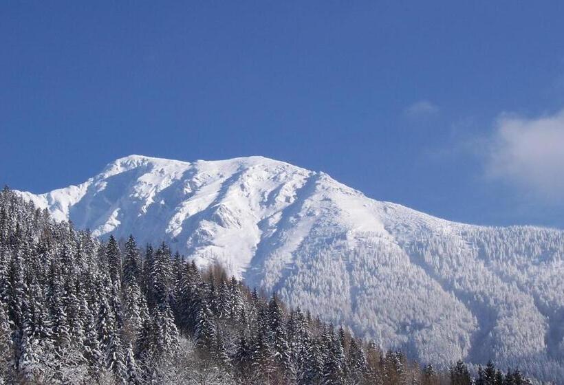 住宿加早餐  Landhaus Seebacher