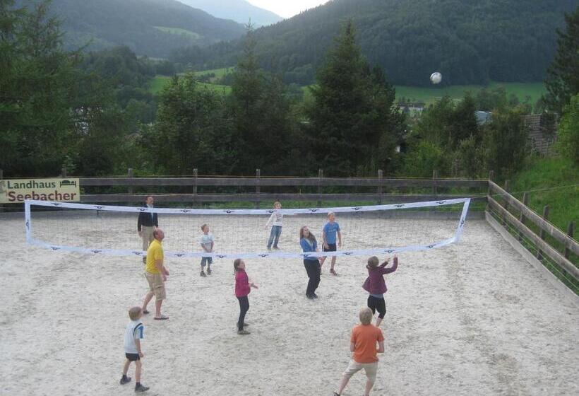 住宿加早餐  Landhaus Seebacher