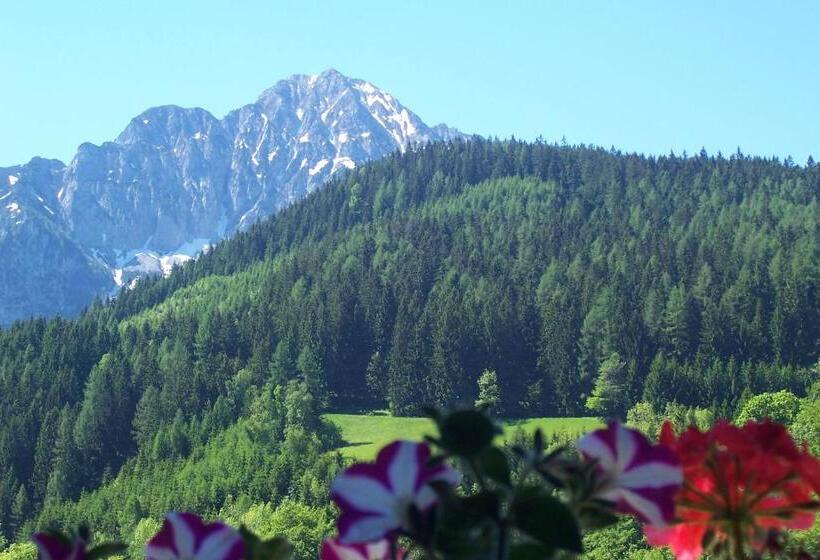 住宿加早餐  Landhaus Seebacher