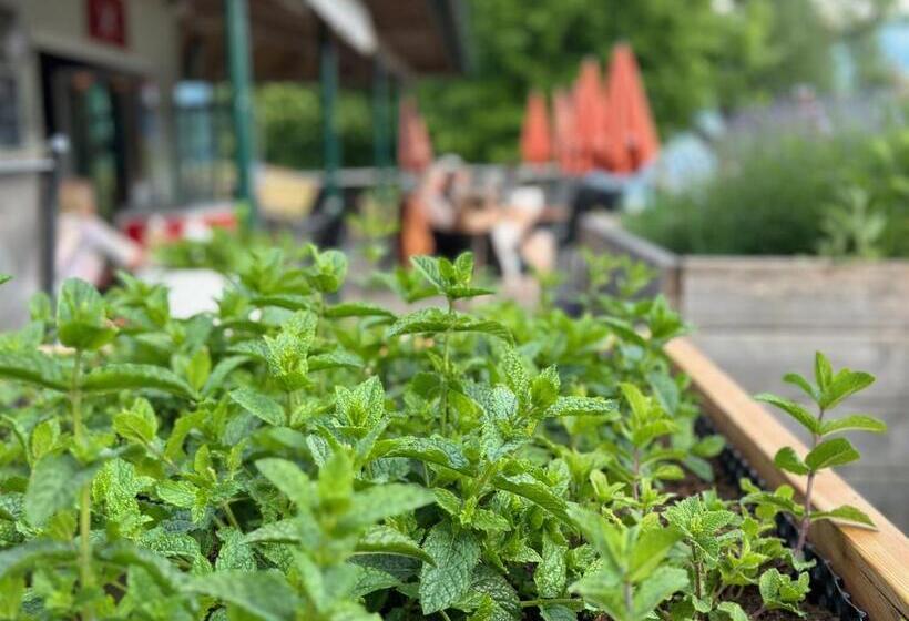 住宿加早餐  Lexenhof