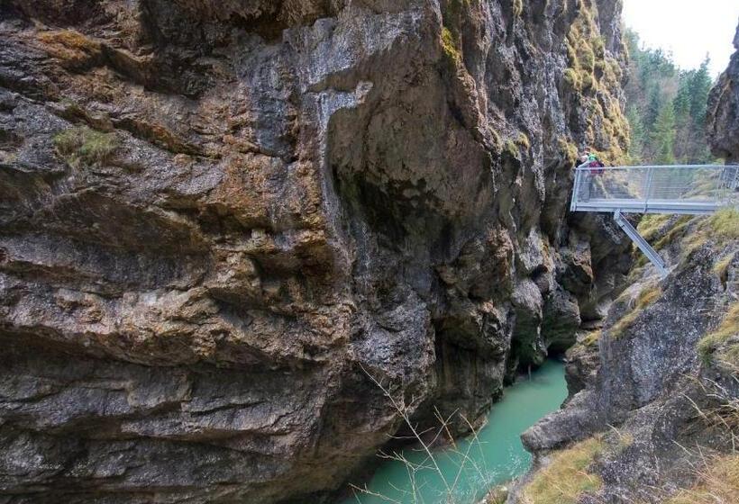 צימר Pension Alpina