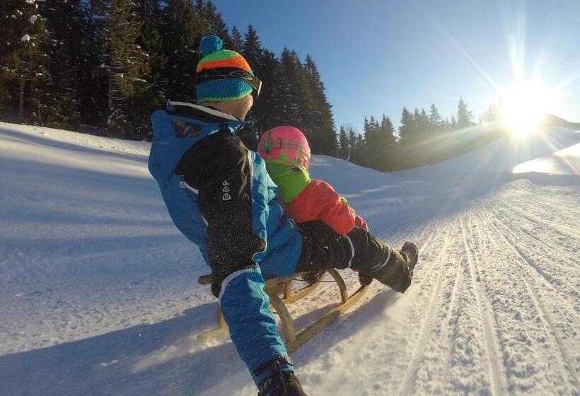 צימר Pension Alpina