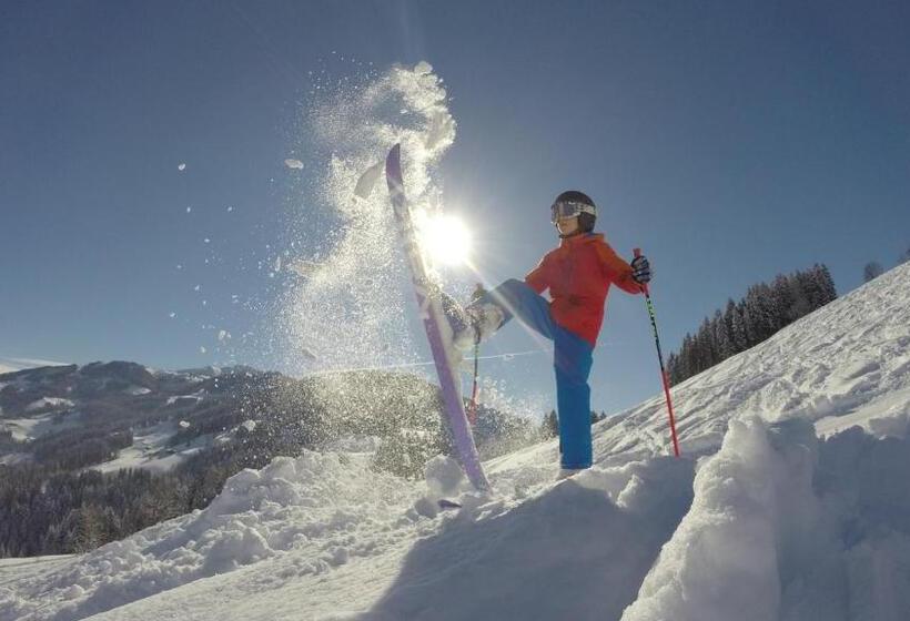 צימר Pension Alpina