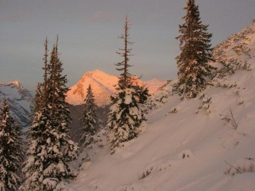 צימר Pension Arnspitze