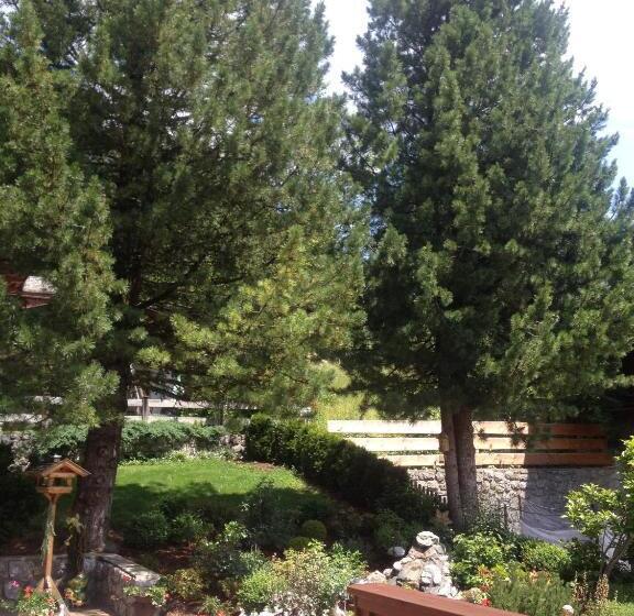 Bed and Breakfast Pension Edelweiss