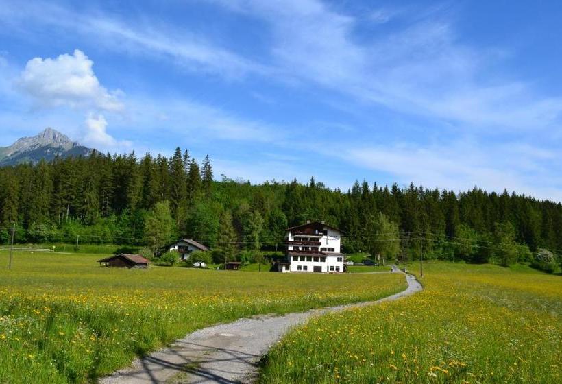 住宿加早餐  Pension Waldrast