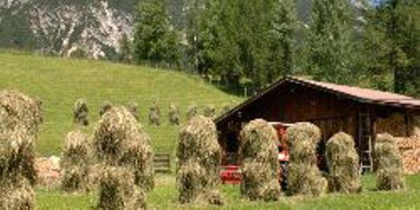 Bed and Breakfast Pleiknerhof