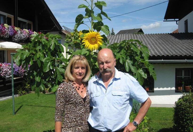 تختخواب و صبحانه Gästehaus Stroitz