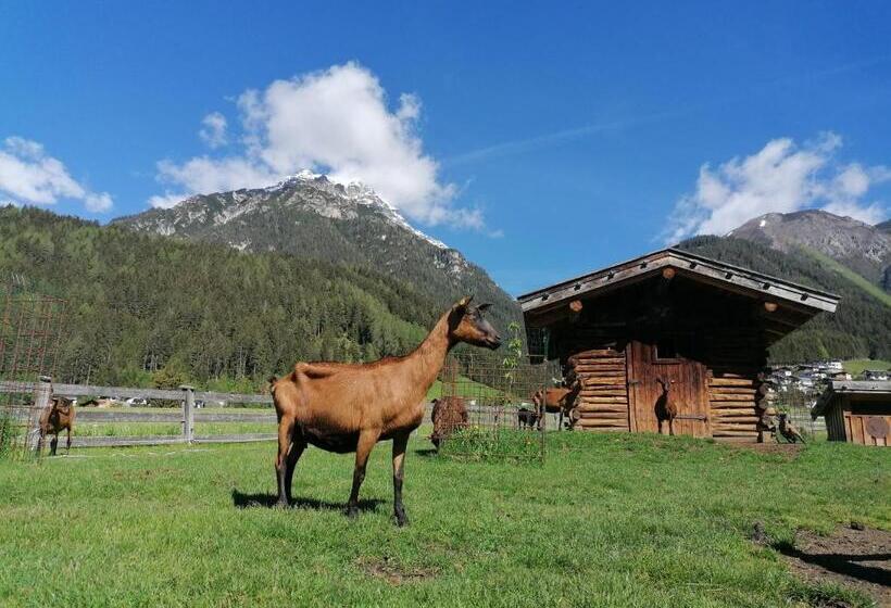 צימר Schottenhof