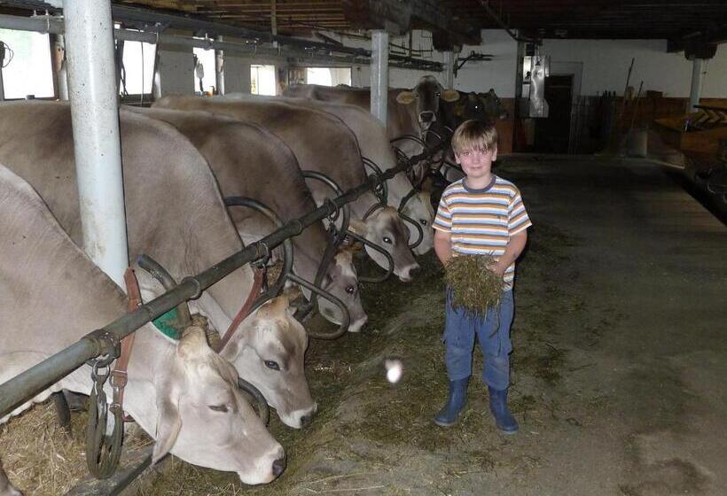 Bed and Breakfast Schottenhof