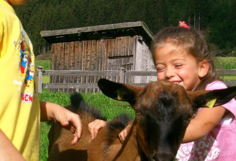 Bed and Breakfast Schottenhof