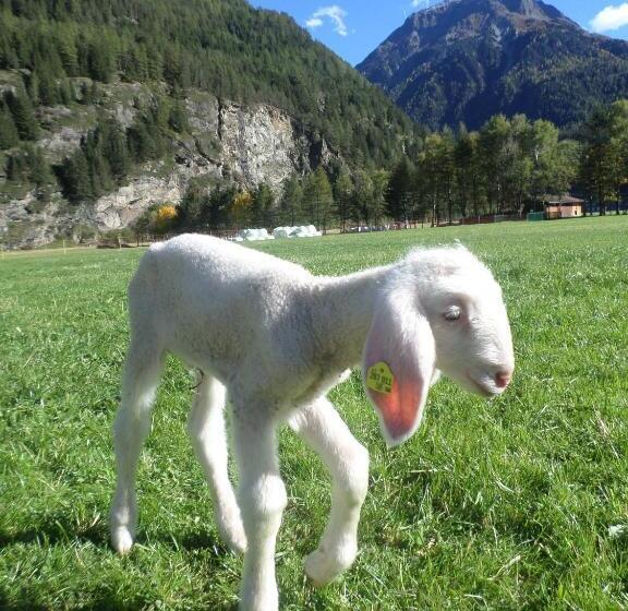 Ferienbauernhof Wendlshof