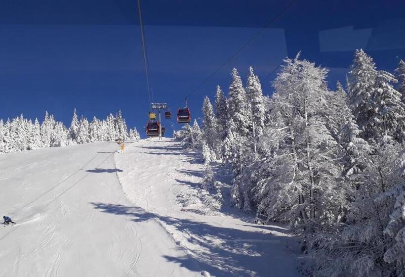 Ferienwohnungen Veit