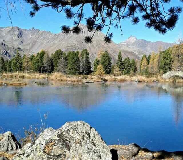 Fortuna Apart Hotel B&b