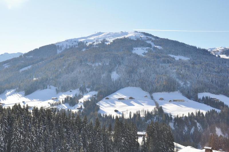 Отель Alphof Alpbach