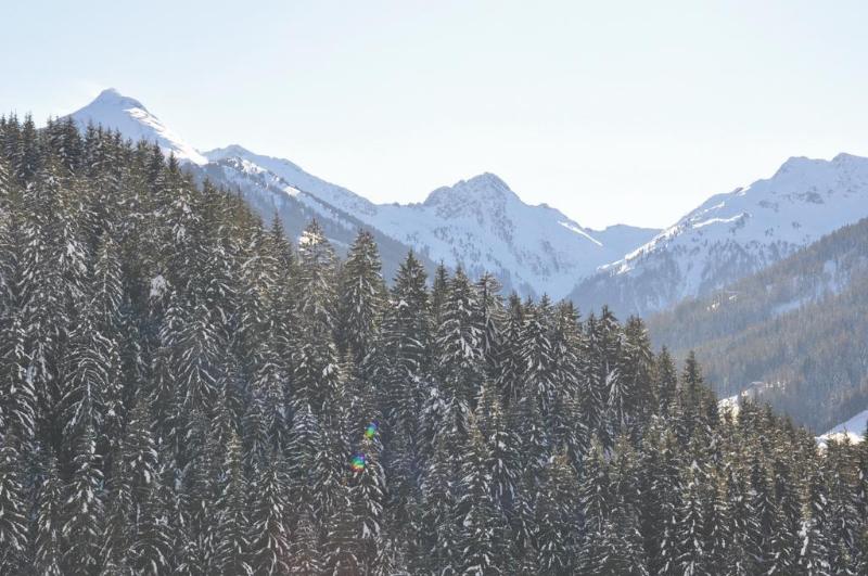 Отель Alphof Alpbach