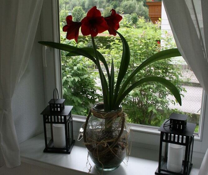 هتل Apartments Rosenhof