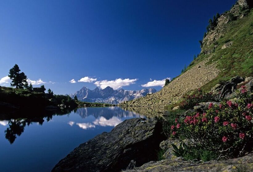 Aparthotel Das Hochkönig