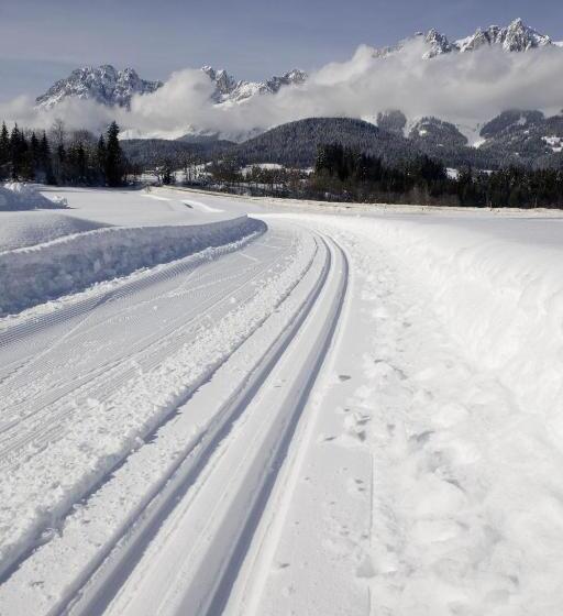 فندق Aschauer Hof Z Fritzn