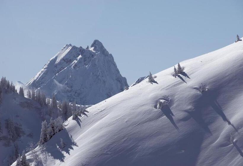 호텔 Aschauer Hof Z Fritzn