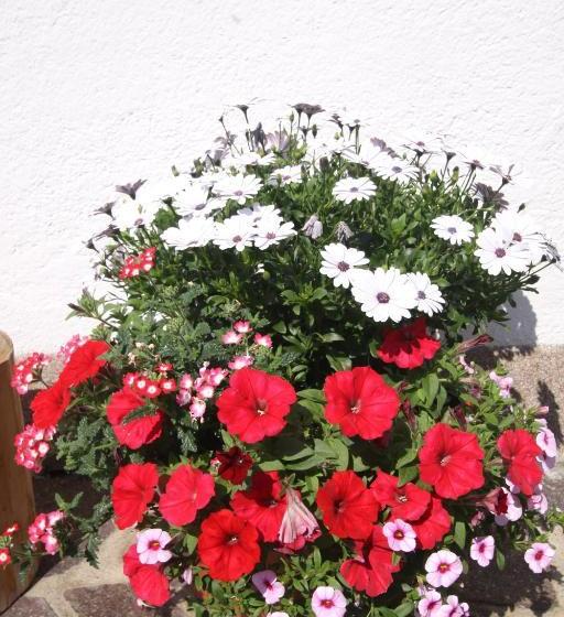 בית מלון כפרי Ausfernerhof