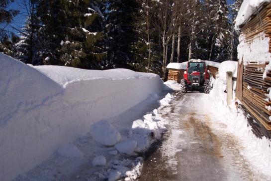 Bauernhof Elsbichlhof