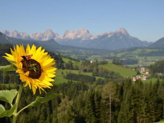 Bauernhof Grueblerhof