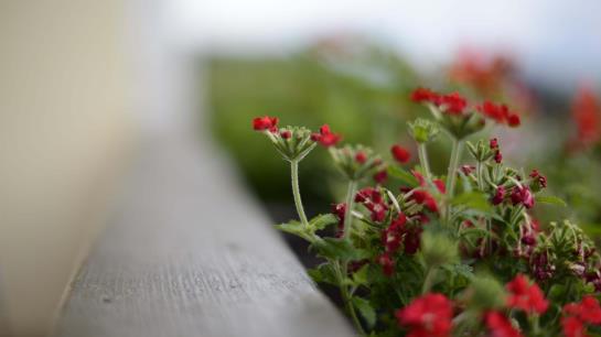 Bauernhof Haus Barbist