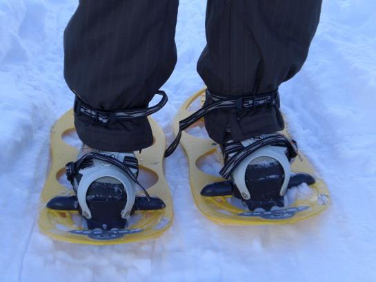 Bauernhof Haus Praxmarer