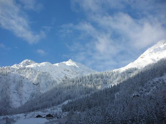 Bauernhof Haus Praxmarer