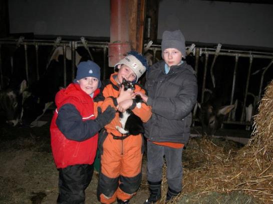 Bauernhof Hochbrandt