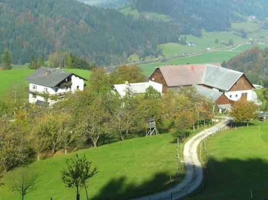 Bauernhof Hochbrandt