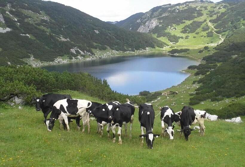 בית מלון כפרי Denggalahof