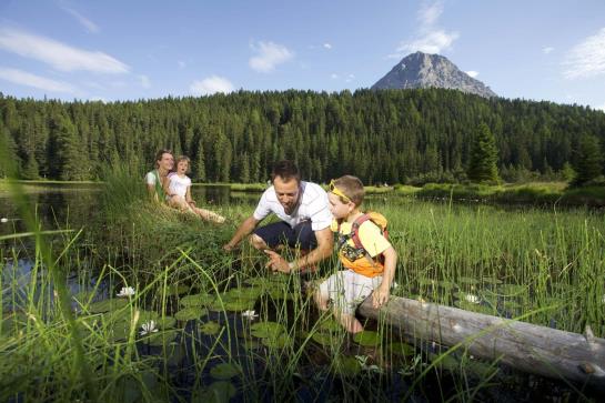 Отель Dreiländerblick