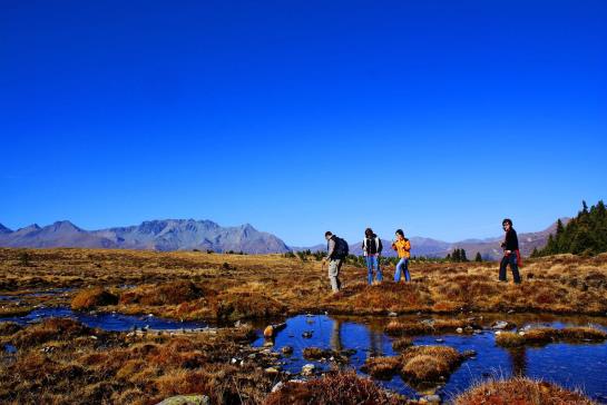Отель Dreiländerblick