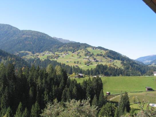 Familienbauernhof Mesner