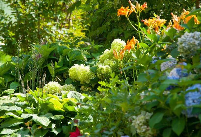 هتل Garni Glockenstuhl