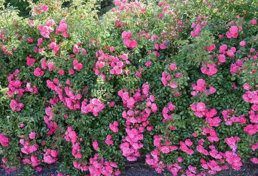 ホテル Garni Höchschmied