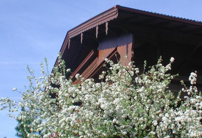 Appart & Hotel Garni Villa Knauer
