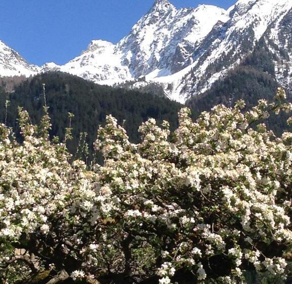 فندق Gasthof Zum Stern