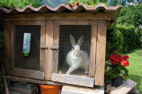 مبيت وإفطار Haus Gerold Pension