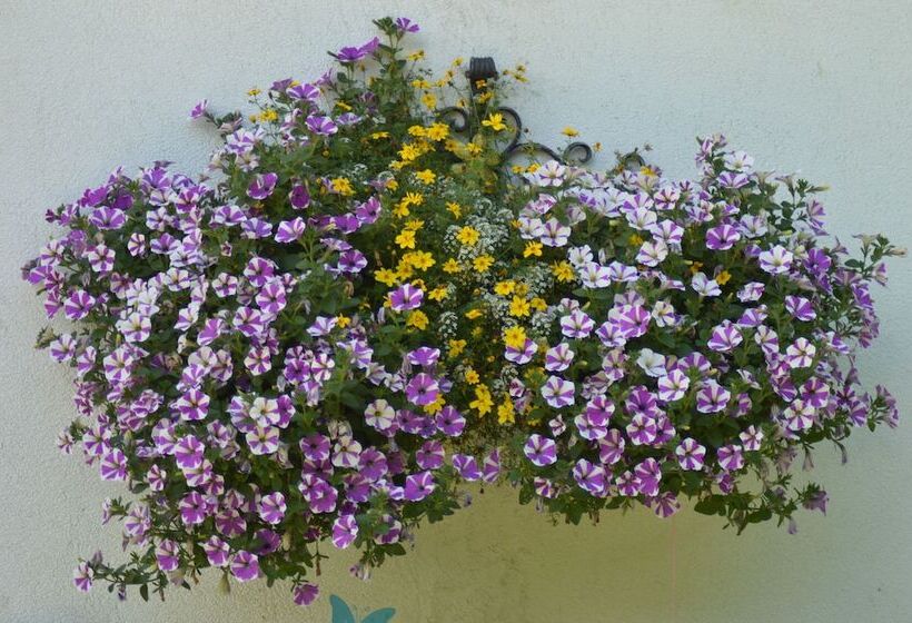 فندق Haus Susanne