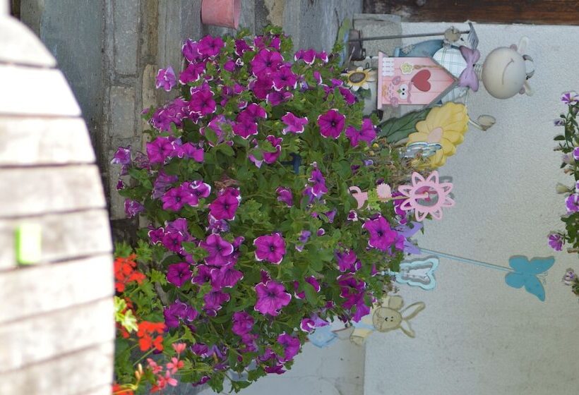 فندق Haus Susanne