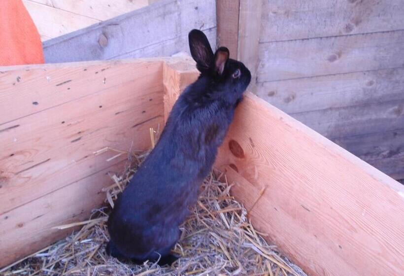 בית מלון כפרי Hauseggerhof